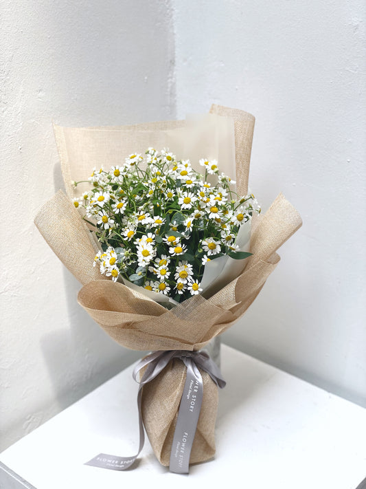 Tanacetum